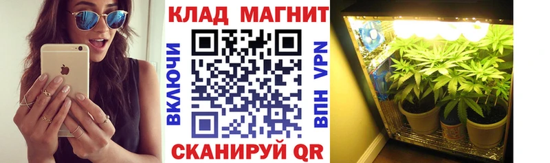 МЕТАДОН Грозный