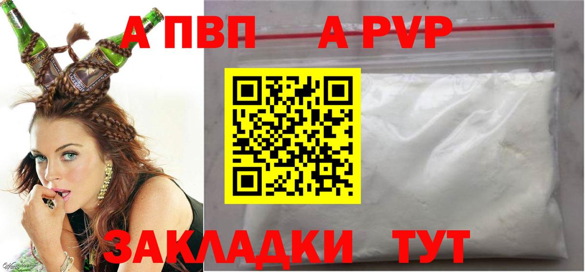 Альфа ПВП СК КРИС Грозный