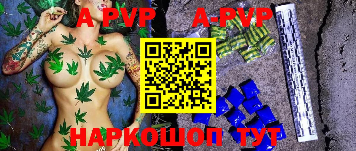Alpha PVP  Вход с VPN  Грозный  APVP СК 