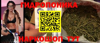 Альфа ПВП Волжск