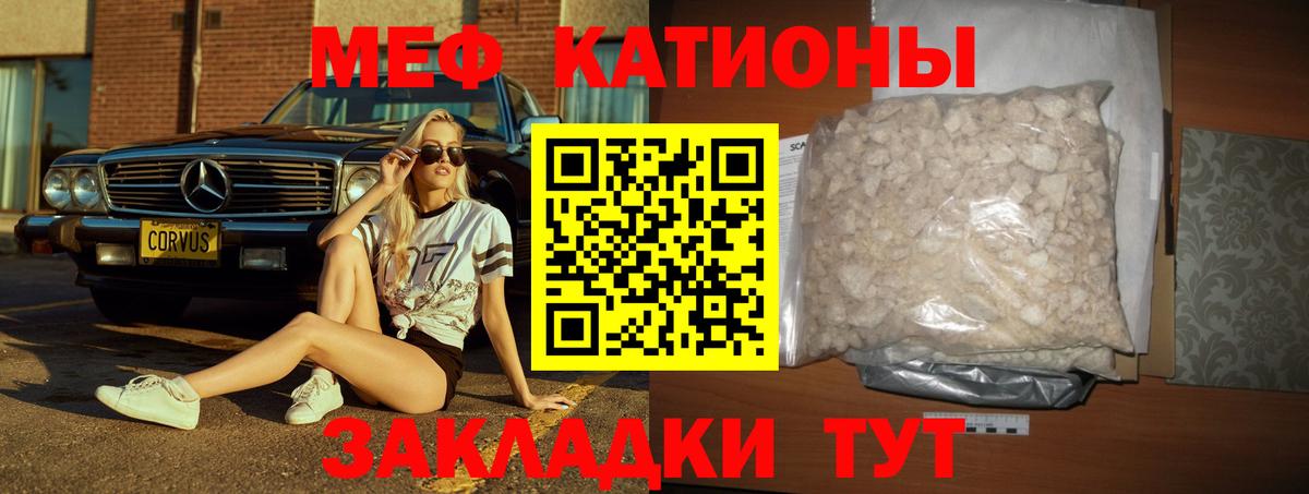 МЕФ Грозный
