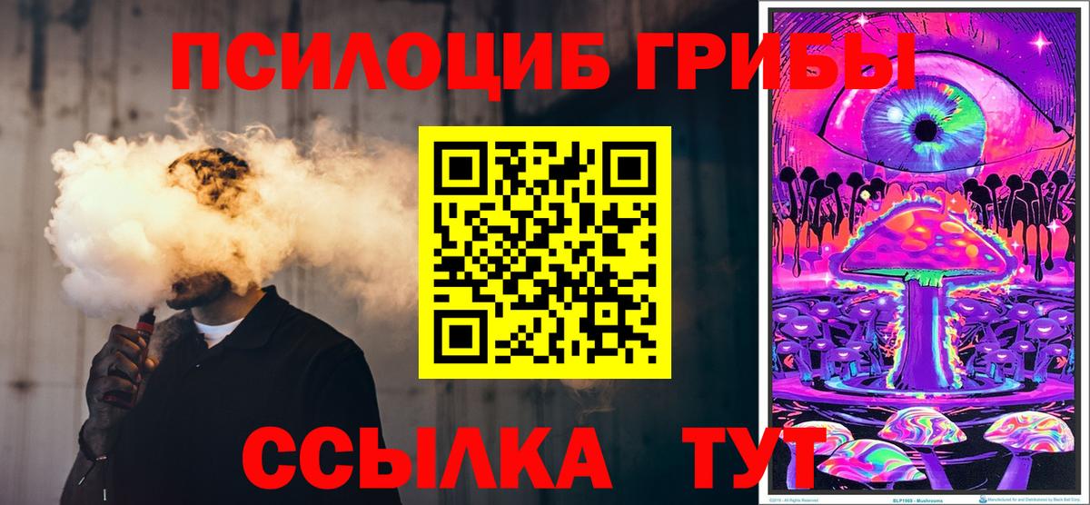 Галлюциногенные грибы Psilocybine cubensis Грозный
