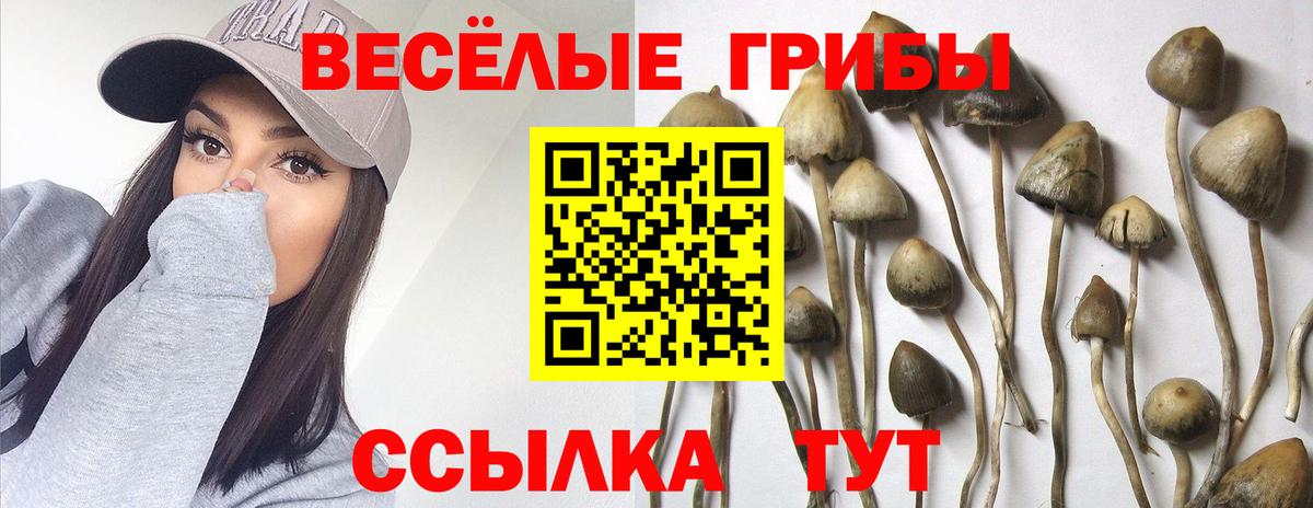 Грозный  Вход с VPN  МДМА  Гашиш  МЕФ   АМФЕТАМИН кристаллы  Марихуана 